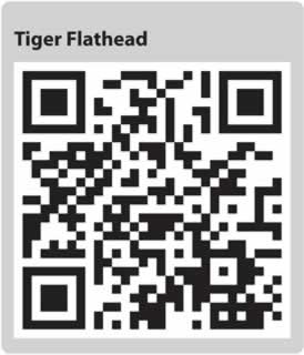Image for QR code for this page
